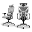 Ayla Ergonomic Chair in light grey, demonstrating side and back views with mesh backrest and multiple levers for personalized comfort.