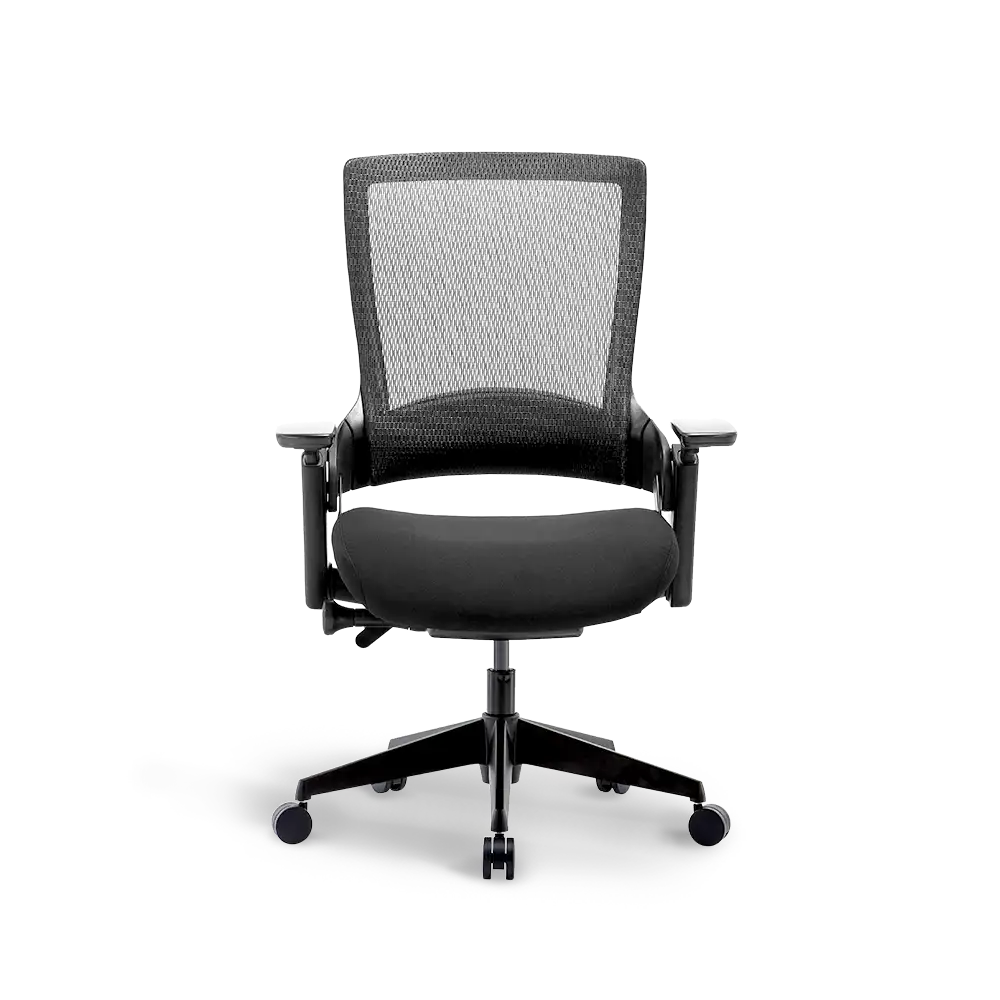 Back view of Flujo Angulo ergonomic chair with lumbar support in black