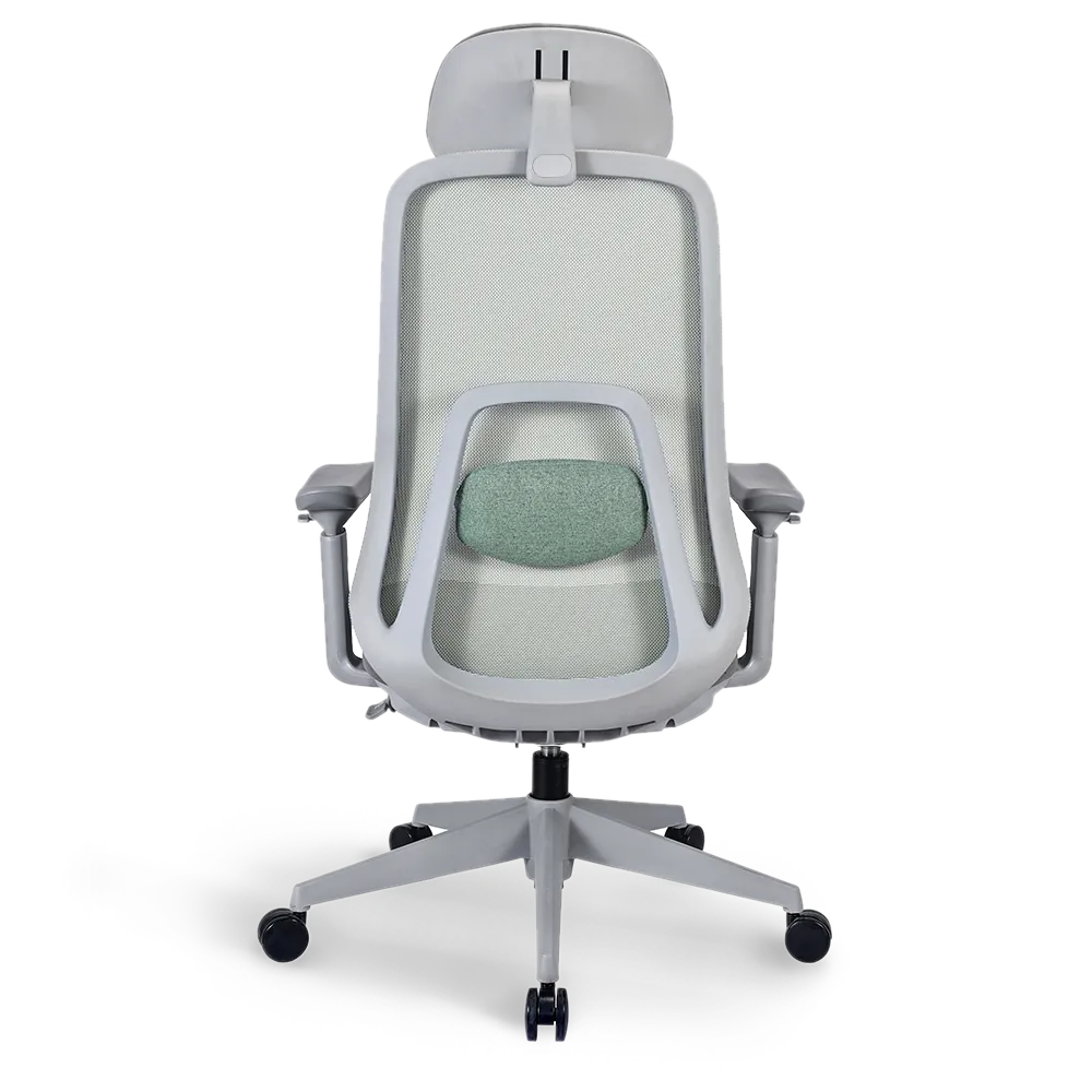 Back view of the Flujo Pluto Ergonomic Chair with mesh back and integrated lumbar support, ideal for ergonomic comfort in Singapore offices.