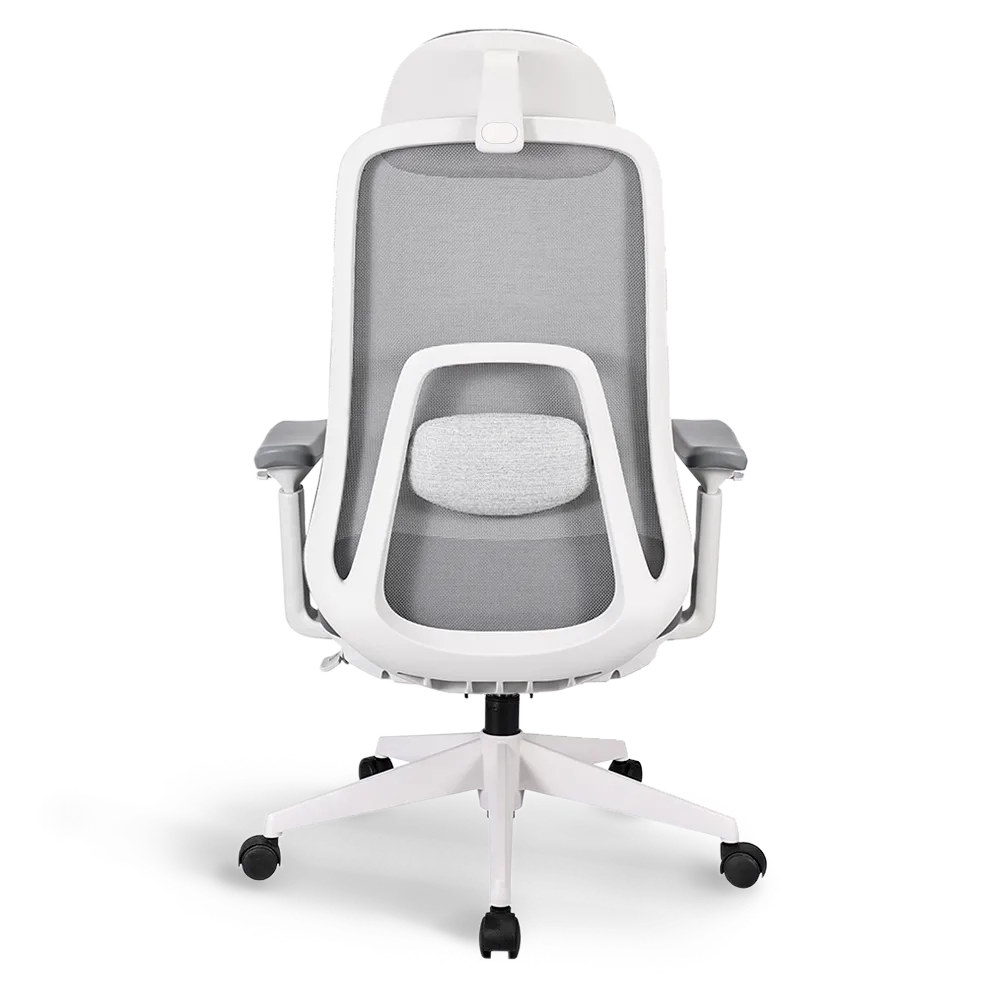 Back view of the Flujo Pluto Ergonomic Chair highlighting its lumbar support and breathable mesh backrest, designed for posture improvement in Singapore workplaces.