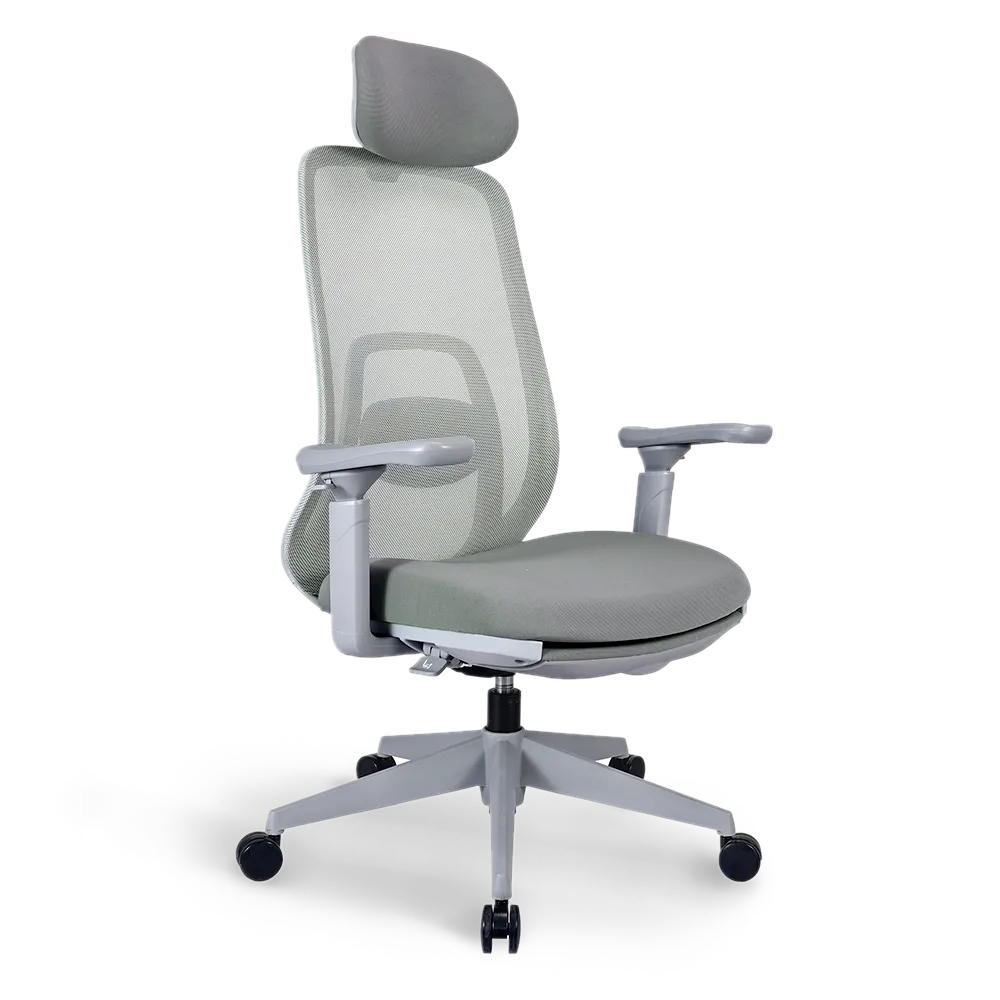 Front view of the Flujo Pluto Ergonomic Chair with mesh backrest and plush cushioned seat, ideal for ergonomic office setups in Singapore.