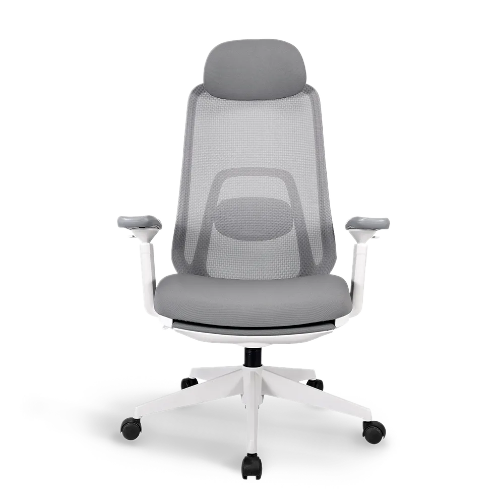 Front view of the Flujo Pluto Ergonomic Chair with mesh backrest and lumbar support, designed for comfortable and ergonomic seating in Singapore offices.