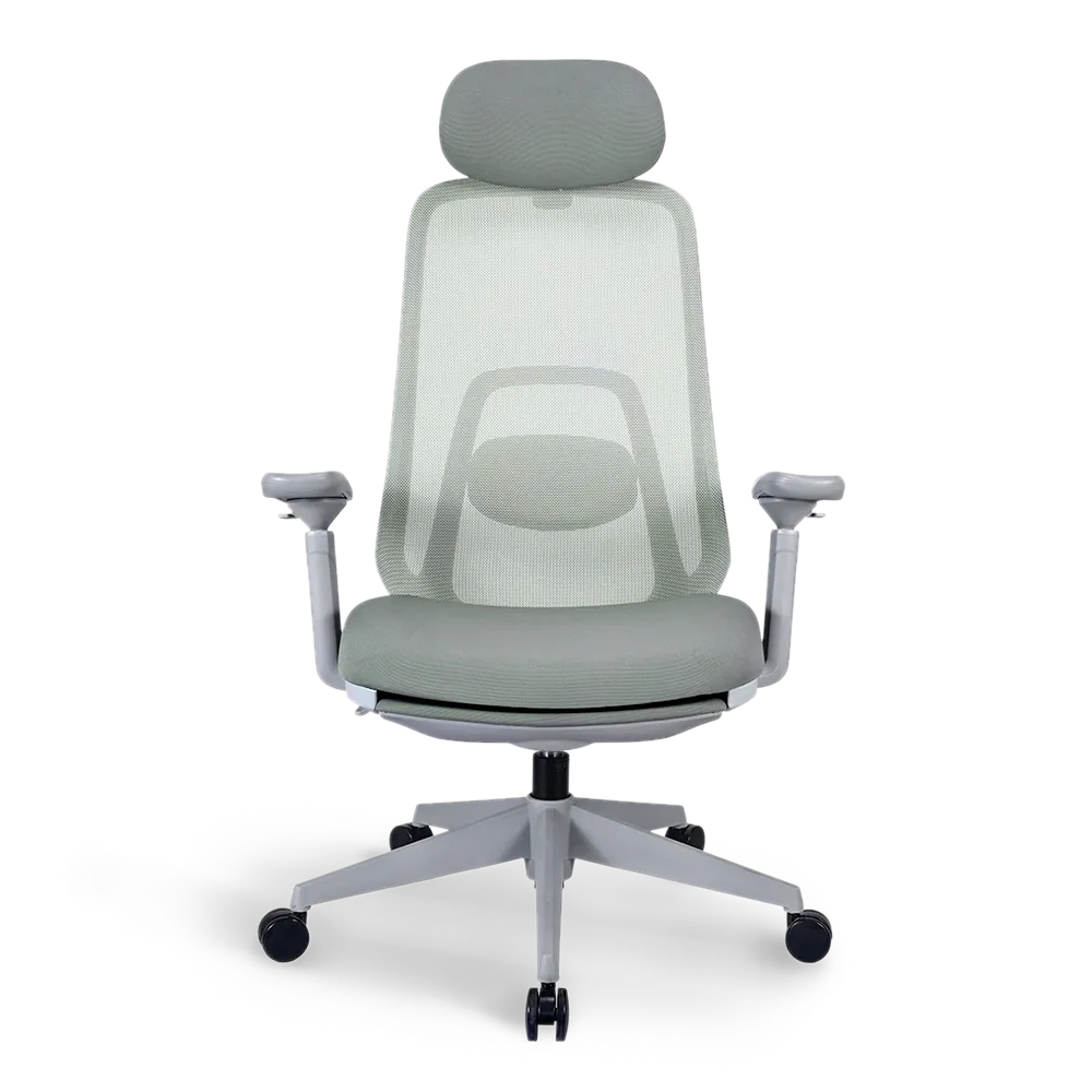 Front view of the Flujo Pluto Ergonomic Chair with lumbar support, designed to promote posture alignment and comfort in Singapore offices.