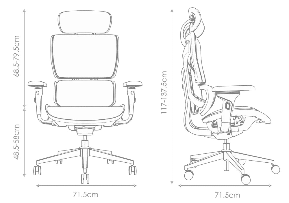 Technical dimensions of ayla Ergonomic Chair showing height, width, and depth for space planning.