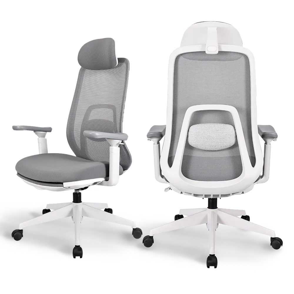 Dual view of the Flujo Pluto Ergonomic Chair in grey, showcasing its mesh back and lumbar support, ideal for ergonomic setups in Singapore offices.