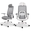 Dual view of the Flujo Pluto Ergonomic Chair in grey, showcasing its mesh back and lumbar support, ideal for ergonomic setups in Singapore offices.